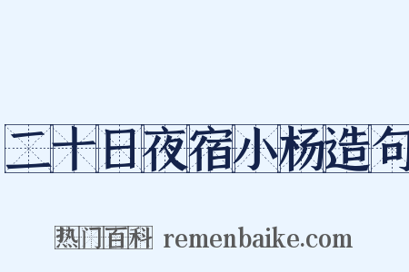 二十日夜宿小杨造句是什么意思的图片